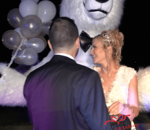 The White Polar Bear came to the wedding to deliver the gift to the bride and groom. Gift Delivery. Wedding gift. Polar bear surprise. White Polar Bear at the wedding.